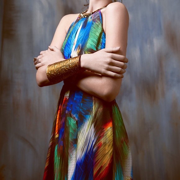 Ranna Gill Tropicalia Maxi Dress - Picture 5 of 15